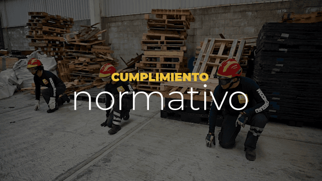 imagen de video